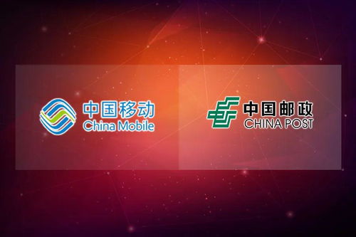 同呼吸共命运 西峰药业复工忙